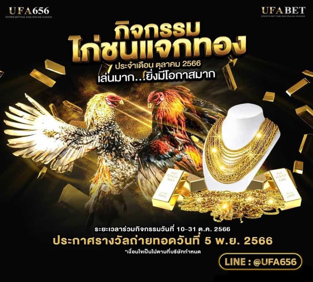 กิจกรรมไก่ชนแจกทอง